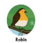 Robin TB
